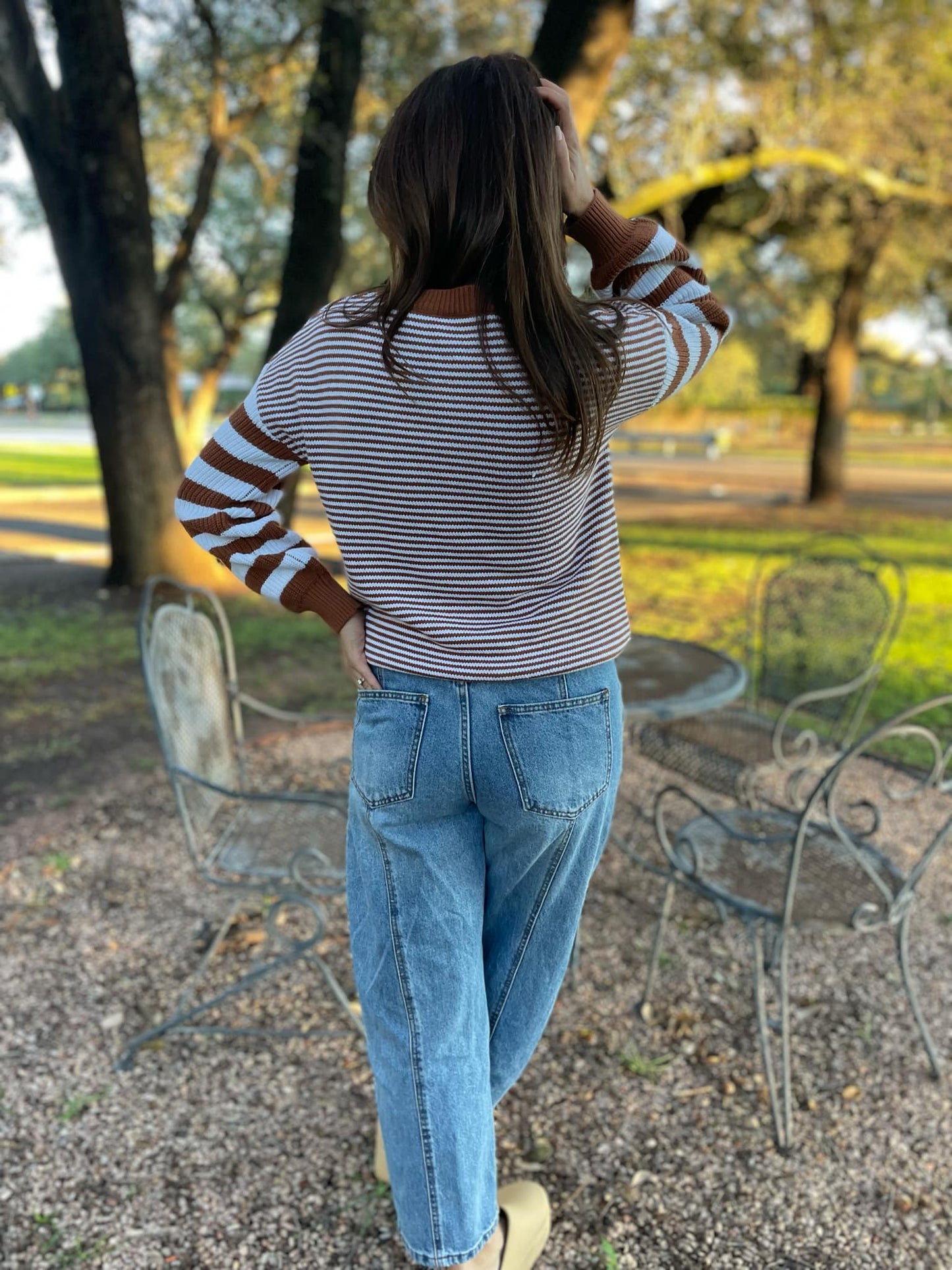 PREORDER: Aspen Striped Sleeve Sweater in Four Colors